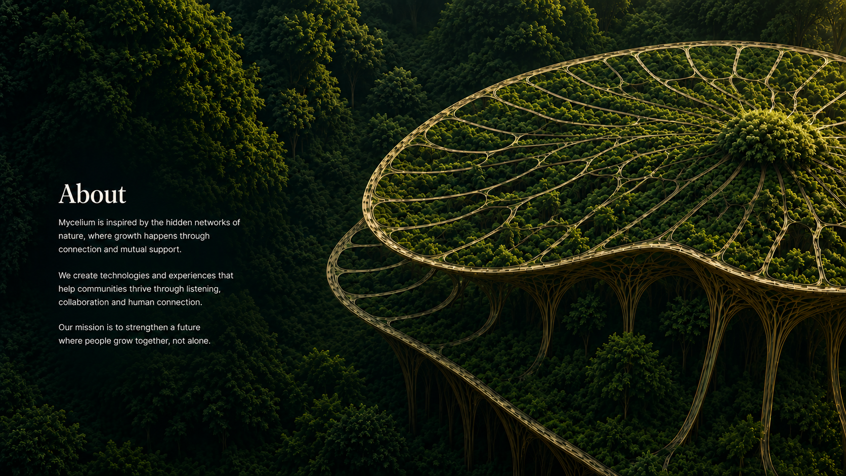 About Mycelium